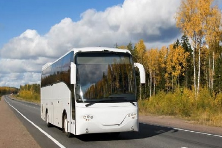 Стали відомі найпопулярніші автобусні маршрути внутрішніх і міжнародних рейсів
