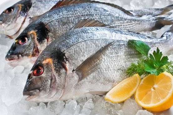 Україна цьогоріч суттєво наростила експорт риби