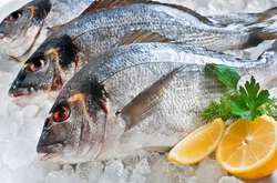 Україна цьогоріч суттєво наростила експорт риби
