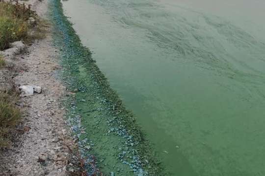 Вода Бузького лиману стала смарагдовою (фото)