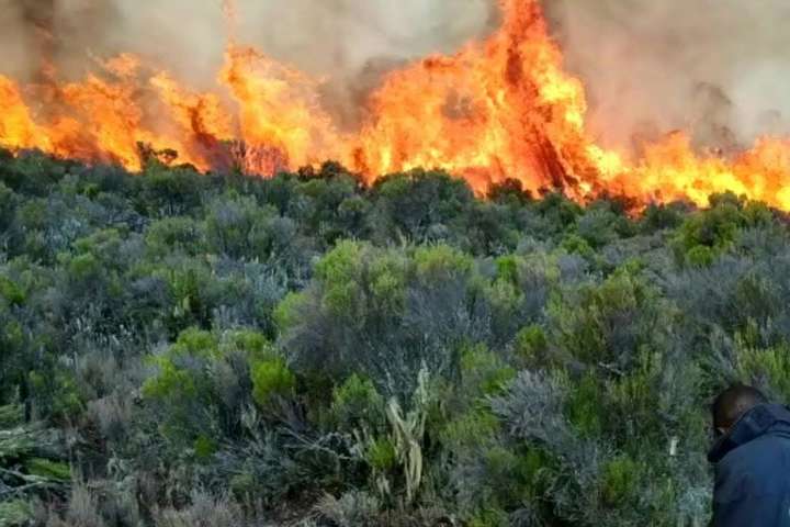 Масштабна пожежа на горі Кіліманджаро потрапила на відео