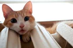 Отопительный сезон начнется не везде: только три региона будут с теплыми батареями