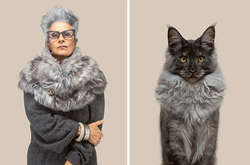 Как сильно кошки похожи на людей: курьезные фото лондонского художника