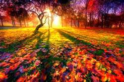 Осінь цього року виявилась надзвичайно теплою