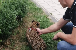 У «Калиновій слободі» щодо цієї ситуації з журналістами спілкуватися відмовились