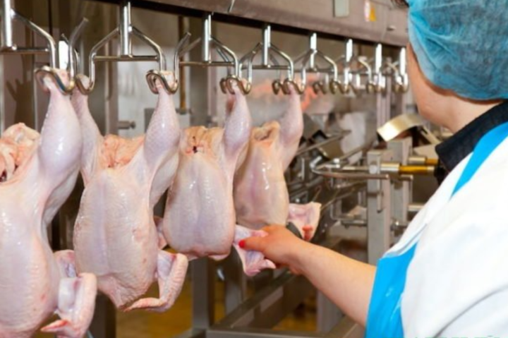 Виробництво курятини в Європі. Компанія українського олігарха Косюка посіла друге місце 