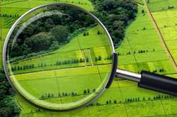 Державні землі розікрали? Зеленський отримав шокуючий звіт