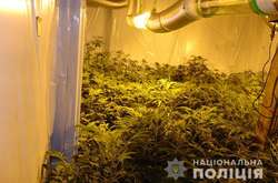 Киянин орендував сусідський будинок і вирощував там коноплі (фото)