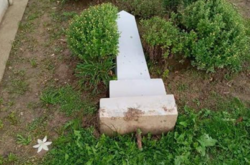 На цвинтарі Мукачівщини вандали вчинили погром (фото)