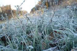 Українцям слід приготуватися до можливих нічних заморозків