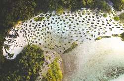 Художник объединяет диких животных и природу, чтобы создать завораживающие пейзажи