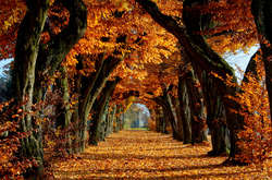 Синоптики сообщили, когда в Украину вернется тепло: погода на неделю