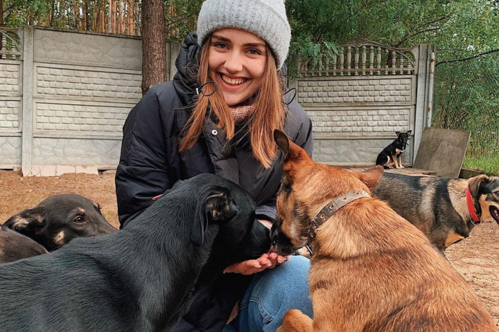 Київський притулок разом із відомими блогерами шукає домівки для тварин (фото)