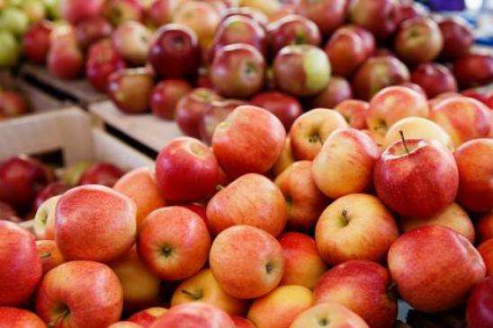 Експерти спрогнозували ціни на яблука у цьому сезоні
