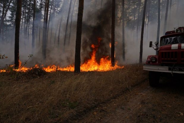 ДСНС попереджає про пожежну небезпеку у східних та Одеської областей