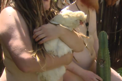 В Новой Зеланди голые садовники снялись для благотворительного календаря (фото)