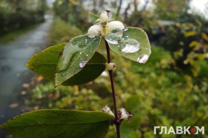 В Україну повертаються дощі та похолодання: прогноз погоди на 30 жовтня