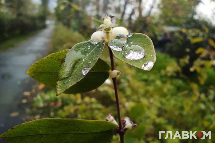 На вихідних у більшості областей України очікуються дощі