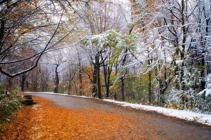 Погода в ноябре: синоптики сообщили когда выпадет снег