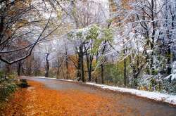 Погода в ноябре: синоптики сообщили когда выпадет снег