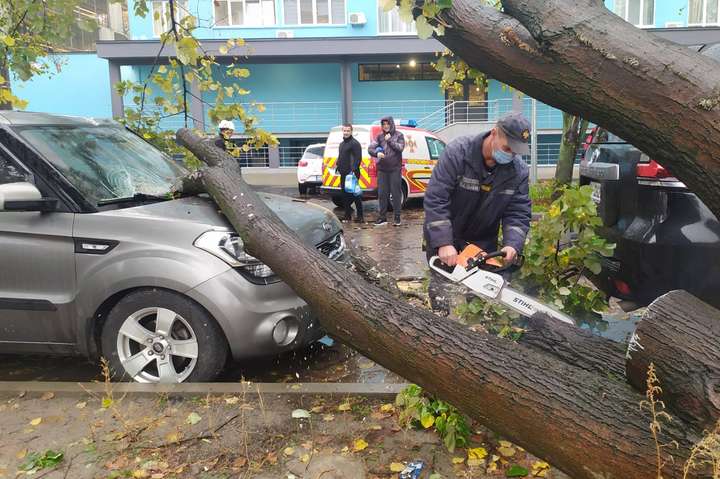 Під Києвом дерево розтрощило автомобіль (фото)