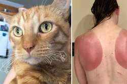 В этих драматических ситуациях сосредоточена вся боль мира (курьезные фото)