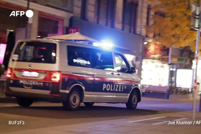 У Відні скасували заняття в школах через теракт