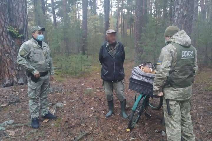 Порушники несли з Чорнобильської зони близько 40 кг грибів (фото)