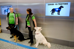 Собаки вже давно використовуються у наукових експериментах, оскільки вони здатні вловлювати зміни запаху людей, що можуть свідчити про певну хворобу