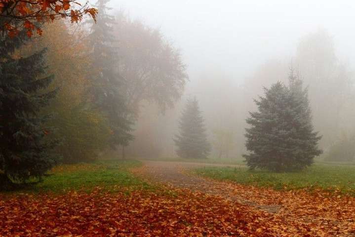 Без опадів, але з туманами: прогноз погоди в Україні на 7 листопада