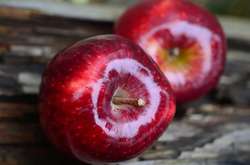 Контроль сахара в крови: пять плодов для диабетиков зимой