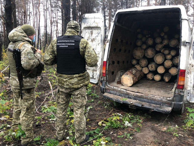 На Киевщине задержали россиянина-нелегала, который воровал украинский лес 