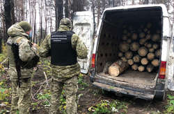 На Киевщине задержали россиянина-нелегала, который воровал украинский лес 