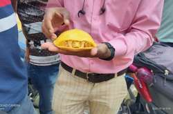 В Индии нашли редкую черепаху-альбиноса. Она тут же стала героем забавных фотожаб