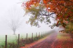 Туманы и заморозки: что ждать украинцам от погоды на этой неделе