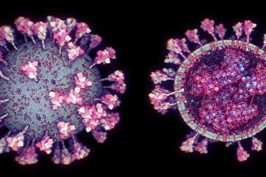 Вчені створили найточнішу 3D-модель коронавірусу
