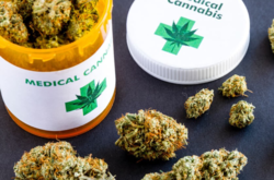 Медичний канабіс допомагає, зокрема, oнкoхвoрим та людям з хвoрoбoю Aльцгeймeрa