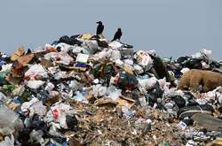 Незаконне сміттєзвалище облаштувало одне з комунальних підприємств Макарівського району 