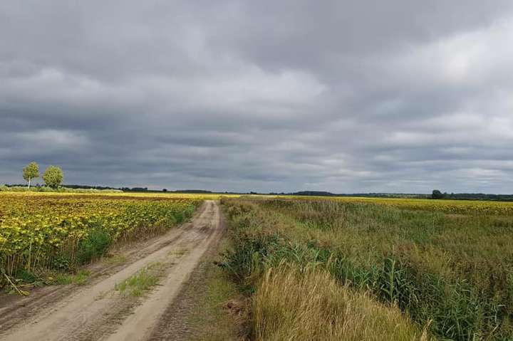 На Київщині агрофірму звинувачують у захопленні 800 га земель
