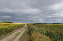 Фірма нібито 5 років незаконно  засівала понад 800 га сільськогосподарських земель 