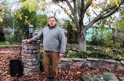 Як підготувати дерева до зими: поради експертів