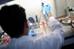 Дослідники підтвердили тривалий імунітет після одужання від коронавірусу