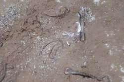 Організація взяла пісок біля старого кладовища