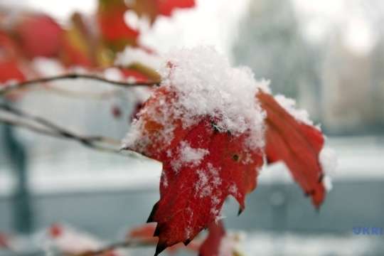 Мокрий сніг та дощі: прогноз погоди в Україні на 17 листопада