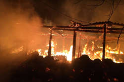 У пожежі на Харківщині живцем згоріли пів сотні свиней