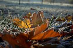 У Києві температура повітря знизилась до мінусових позначок