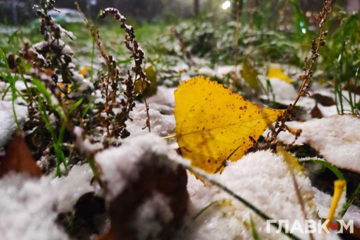 Прогноз погоди на 18 листопада: в Україні буде дощ з мокрим снігом, туман