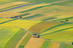 Які земельні ділянки та за яких умов не оподатковуються? Пояснення ДПС