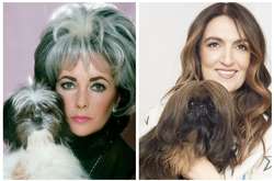 В сети делятся фотографиями, на которых хозяева и их питомцы удивительно похожи