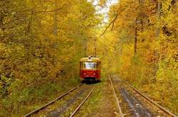  Пуща-Водиця в переліку місць Києва з найчистішим повітрям 